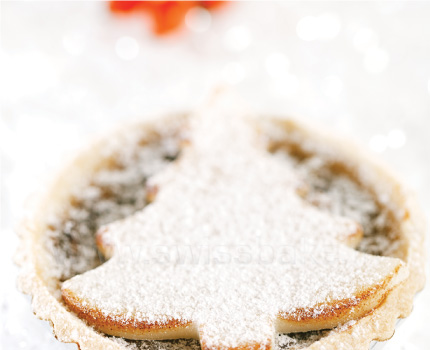 NEUSCHNEE | SNOW SUGAR